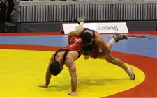 اعضای تیم ملی کشتی آزاد در جام جهانیگزارش تصویری -1215