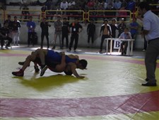 كشتي فرنگي قهرماني بزرگسالان خوزستان گزارش تصويري25