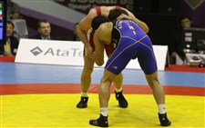 اعضای تیم ملی کشتی آزاد در جام جهانیگزارش تصویری -823