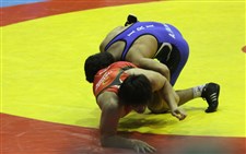 اعضای تیم ملی کشتی آزاد در جام جهانیگزارش تصویری -1016