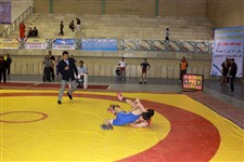 هفتمین دوره جشنواره کشتی نونهالان گزارش تصويري1