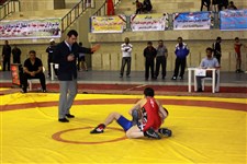 هفتمین دوره جشنواره کشتی نونهالان گزارش تصويري2