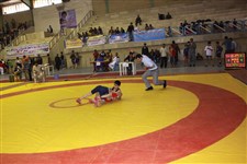 هفتمین دوره جشنواره کشتی نونهالان گزارش تصويري15