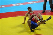 مسابقات كشتي قهرماني جهان و گزينشي المپيك - تركيه گزارش تصويري-2432 مسابقات كشتي قهرماني جهان و گزينشي المپيك - تركيه گزارش تصويري-2432